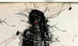 وقتی دیوار تاول می زند؛ مرجان جامی