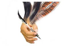 مرگ یک فیلم‌نامه‌نویس بر اثر حادثه (اینان چِتین)