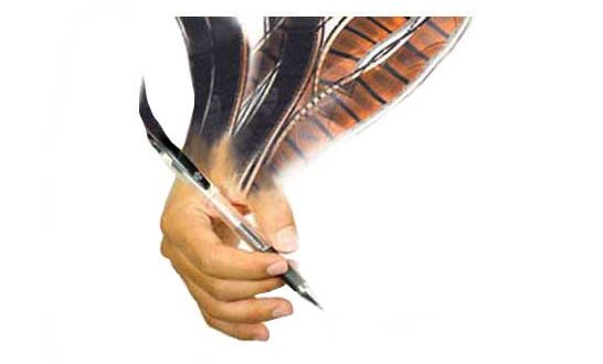 مرگ یک فیلم‌نامه‌نویس بر اثر حادثه (اینان چِتین)