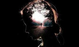 کانتر سفید (بابک محمدی)