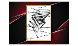 برنو (مریم شیرمحمدی)