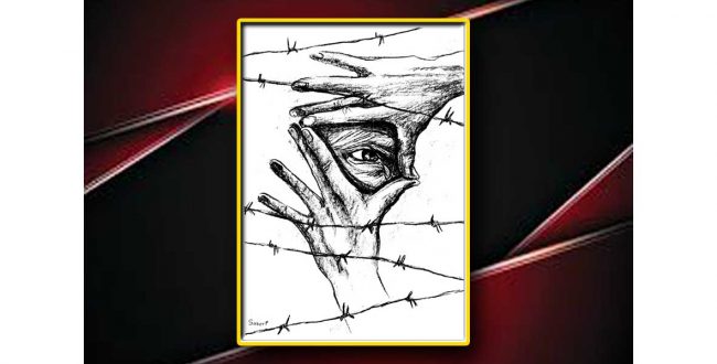 برنو (مریم شیرمحمدی)