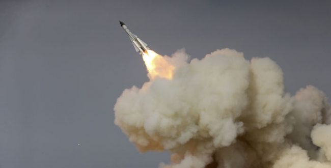 تازه وارد (دونالد جی. هارلو)