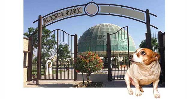 ورود سگ به پارک ممنوع (امیررضا بیگدلی)