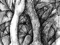 منو ببخش«نوریحان» (مجید ذاکری)