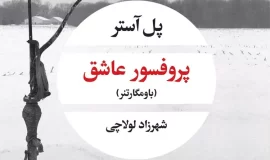 پروفسور عاشق (باومگارتنر)