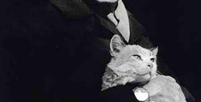 سخت ساده، به سادگی شعر سعدی