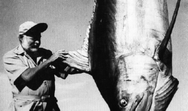 همینگوی: مرز مبهم نویسنده-شخصیت-راوی